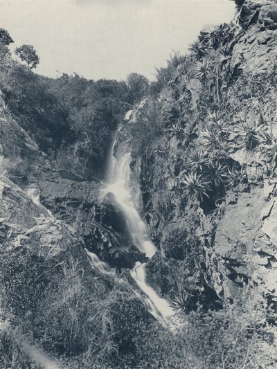 स्ट्रुबेन का झरना (बी/डब्ल्यू फोटो) द्वारा दक्षिण अफ्रीकी फोटोग्राफर
