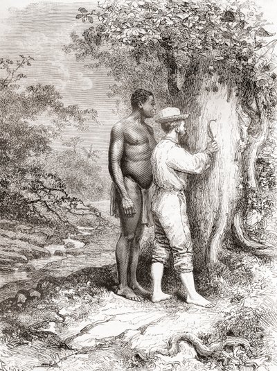 जूल्स क्रेवाक्स, 1878 में फ्रेंच गुयाना की खोज के दौरान, ओयापॉक या ओयाओपेक नदी के किनारे एक पेड़ पर अपने प्रारंभिक नक्काशी करते हैं। द्वारा स्पेनिश स्कूल