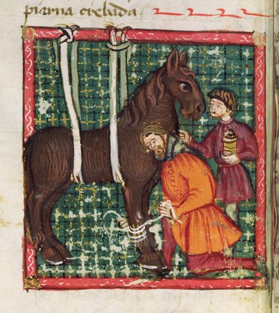 सुश्री 214 fol.31v जुआन अल्वारेज़ द्वारा लिब्रो डी मेनेस्केलसिया वाई अल्ब्येतरिया से घोड़े के खंडित मेटाकार्पल को भेजना, c.1390 द्वारा स्पेनिश स्कूल