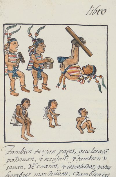 सुश्री पालत। 218-220 बुक IX एज़्टेक मनोरंजनकर्ता, संगीतकार, बाजीगर और हंचबैक, बर्नार्डिनो डी सहगुन द्वारा फ्लोरेंटाइन कोडेक्स से, c.1540-85 द्वारा स्पेनिश स्कूल