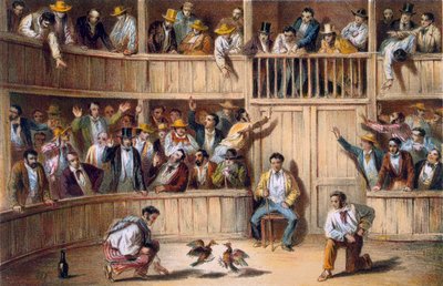  द्वारा स्पेनिश स्कूल