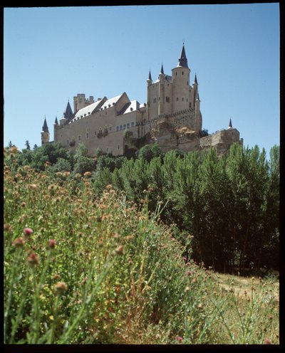 alcazar . का दृश्य द्वारा स्पेनिश स्कूल
