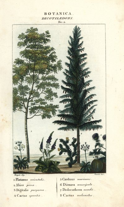  द्वारा Stanghi Stanghi