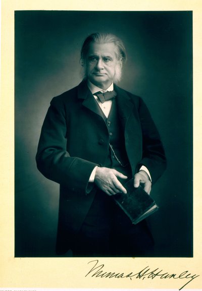 प्रोफेसर थॉमस एच। हक्सले (1825-95), जीवविज्ञानी, चित्र चित्र द्वारा स्टैनिस्लास वालरी