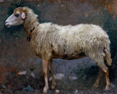 प्रोफ़ाइल में भेड़, स्टेफ़ानो ब्रुज़ी द्वारा पेंटिंग (1835-1911), कार्डबोर्ड पर तेल द्वारा स्टेफानो ब्रुज़ी