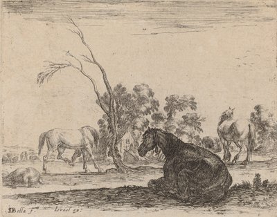 एक चरागाह में घोड़े, 1642। द्वारा स्टेफानो डेला बेला