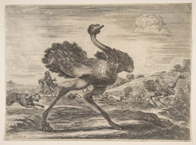 पशु शिकार से शुतुरमुर्ग का शिकार, विभिन्न जानवरों के शिकार, ca. 1654। द्वारा स्टेफानो डेला बेला