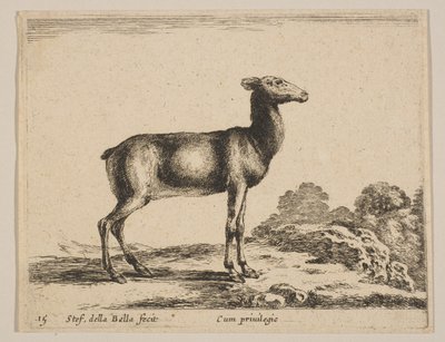 प्लेट 15: डो, 'विभिन्न जानवरों' से विभिन्न जानवर, ca. 1641. द्वारा स्टेफानो डेला बेला