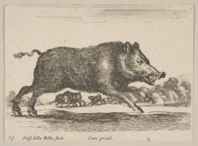 प्लेट 19: जंगली सूअर, विभिन्न जानवरों से विविध दिमाली, ca. 1641। द्वारा स्टेफानो डेला बेला