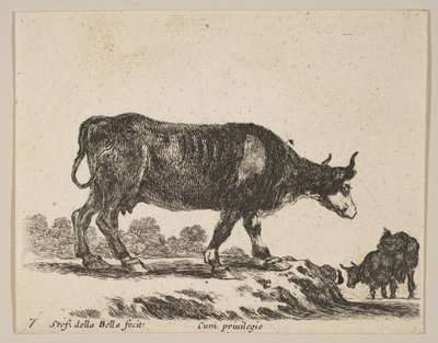 प्लेट Plate: गाय, विभिन्न जानवरों से विविध विविधली, सी.ओ. 1641। द्वारा स्टेफानो डेला बेला