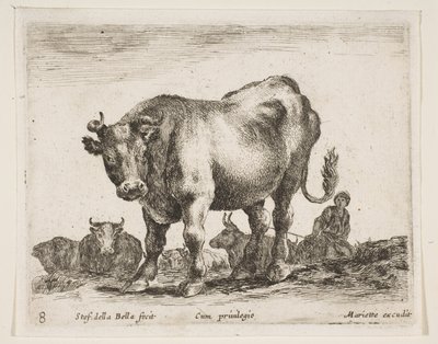 प्लेट 8: गाय, विभिन्न जानवरों से विविध वैसाली, ca. 1641। द्वारा स्टेफानो डेला बेला