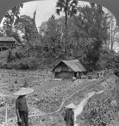 पैगोडा, भामो, बर्मा, 1908 के बीच एक वनस्पति उद्यान द्वारा स्टीरियो यात्रा सह