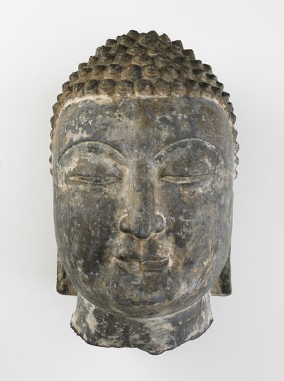 बुद्ध का प्रमुख सिर द्वारा Sui Dynasty Chinese School