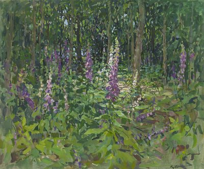 Foxgloves द्वारा सुसान राइडर