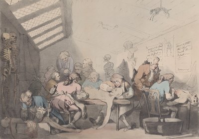 विदारक कक्ष, ca. 1838. द्वारा टीसी विल्सन