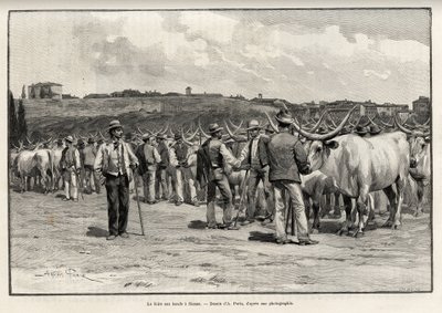 सिएना (इटली) में बीफ मेला। एडोर्ड चार्टन (1807-1891), हैचेट, पेरिस द्वारा निर्देशित ले टूर डू मोंडे 1892 में यूजीन मुंत्ज़ (1845-1902) द्वारा कहानी "" ए ट्रैवर्स ला टस्केन"" को चित्रित करने के लिए टेलर द्वारा उत्कीर्णन। द्वारा टी टेलर