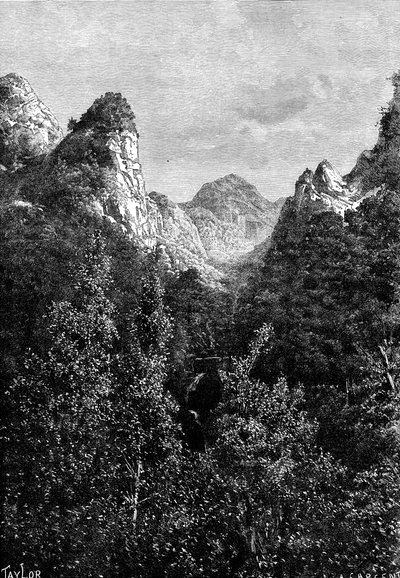 मेडिरा, पुर्तगाल, 1895। द्वारा टेलर