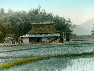  द्वारा Teijiro Takagi