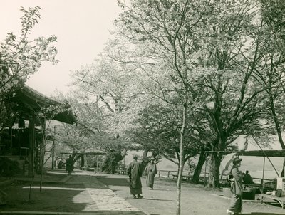 द्वारा Teijiro Takagi
