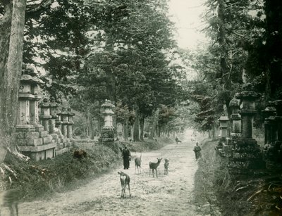  द्वारा Teijiro Takagi