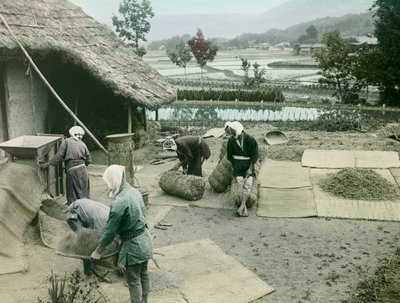  द्वारा Teijiro Takagi