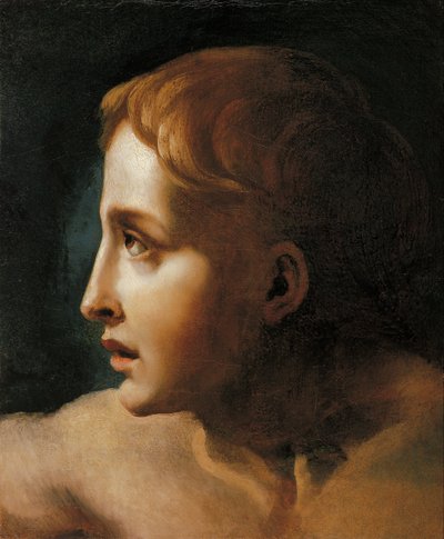 एक युवा का सिर द्वारा Theodore Gericault