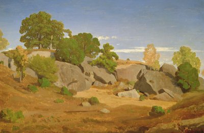 फॉनटेनब्लियू में चट्टानें द्वारा Theodore Caruelle d Aligny