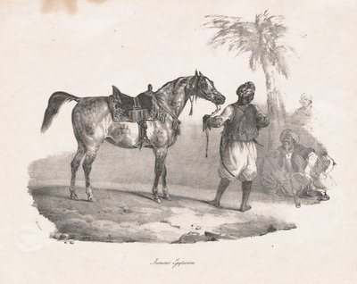  द्वारा थियोडोर गेरिकौल्ट