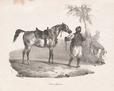 द्वारा थियोडोर गेरिकौल्ट