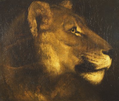 एक शेरनी का सिर द्वारा Theodore Gericault