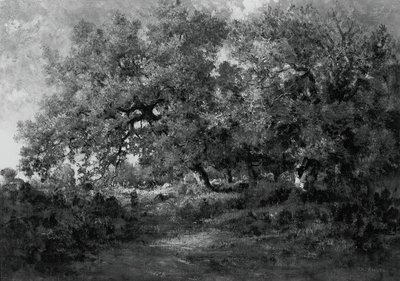 लैंडस्केप, सी। 1860. द्वारा थिओडोर रूसो