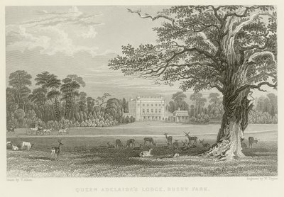 रानी एडिलेड लॉज द्वारा Thomas Allom