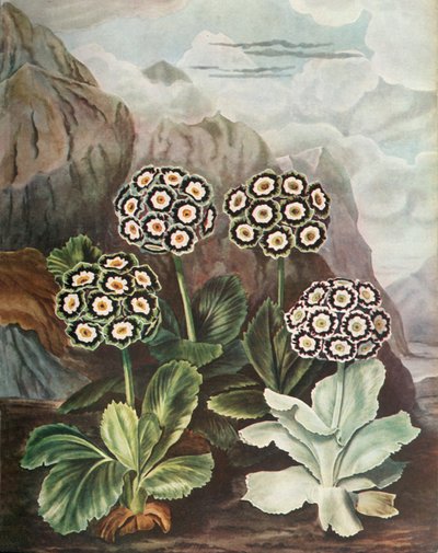 हैंडल, c1802-1821, 1948। द्वारा थॉमस बैक्सटर