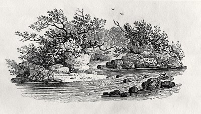 नदी में एक मोड़, 'वाटर बर्ड्स' से, 1804 में प्रकाशित (लकड़ी की नक्काशी) द्वारा थॉमस बेविक