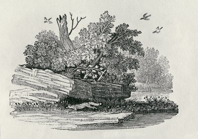 फॉक्स भागने, &39;द जनरल हिस्ट्री ऑफ क्वाड्रुपेड्स&39; से, 1790 प्रकाशित (लकड़ी की नक्काशी) द्वारा थॉमस बेविक