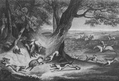फॉक्स की मृत्यु, 1793। द्वारा थॉमस कुक