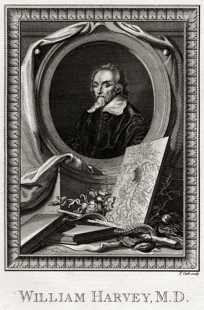 विलियम हार्वे, 1777 द्वारा थॉमस कुक
