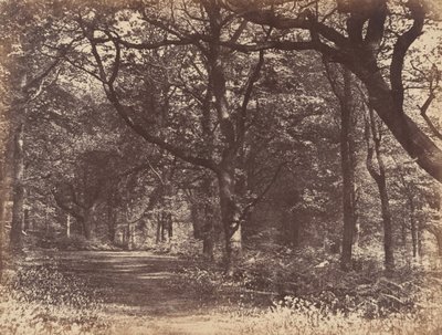 वुड-सीन, नॉर्टन, चेशायर, 1856। द्वारा थॉमस डेविस