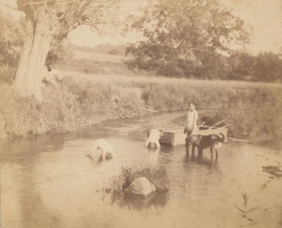 [थ्री चिल्ड्रेन एंड ए डॉग प्लेइंग इन द क्रीक, 4 जुलाई, 1883], 1883, 1883। द्वारा थॉमस एकिंस