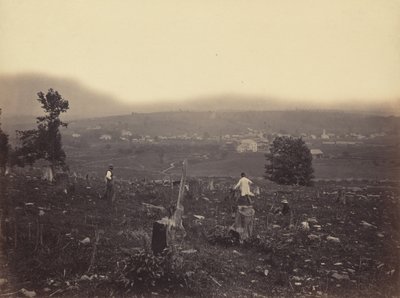वेमार्ट, डेल और हडसन कैनाल कंपनी, सी। 1863-1865। द्वारा थॉमस एच जॉनसन