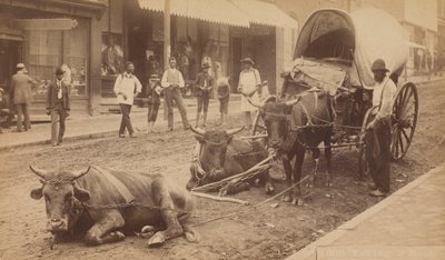 क्रमांक 2009, 'टेकिंग अ रेस्ट', 1890-1895। द्वारा थॉमस एच. लिंडसे