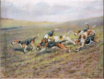 फ़ील्ड्स को पार करते हुए, &39;हाउंड्स&39; से चित्रण द्वारा Thomas Ivester Lloyd