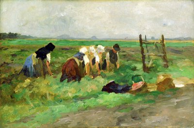 फील्ड वर्कर्स, c.1900 (कार्डबोर्ड पर तेल) द्वारा थॉमस लुडविग हर्बस्ट