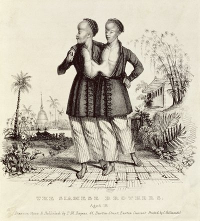 सियामी ब्रदर्स, एजेड 18, चार्ल्स हुलमंडेल (1789-1850) द्वारा मुद्रित, c.1829 द्वारा थॉमस मान बेनेस