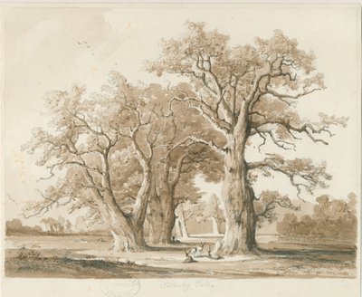 टेड्सले हॉल - ओक ट्री: पेंसिल और वॉश ड्राइंग, एन डी [नवम्बर 1842] (ड्राइंग) द्वारा थॉमस पेप्लो लकड़ी