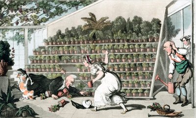 ट्यूलिप हॉल में दुर्भाग्य, c1816 द्वारा थॉमस रोलैंड्सन