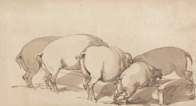 एक गर्त में सूअर, c.1790 (कागज पर पेन और स्याही और भूरे रंग के साथ ग्रेफाइट) द्वारा थॉमस रोलैंड्सन
