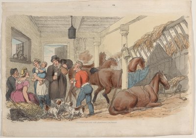 प्लेट 36, वर्ल्ड इन मिनिएचर से, 1816., 1816। द्वारा थॉमस रोलैंड्सन