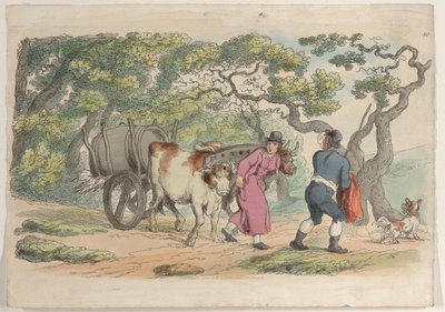 प्लेट 40, वर्ल्ड इन मिनिएचर से, 1816., 1816। द्वारा थॉमस रोलैंड्सन
