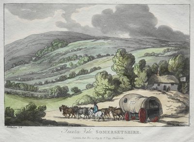 रॉलैंड्सन स्केचेस फ्रॉम नेचर: टूनटन वेल, समरसेटशायर, 1809। द्वारा थॉमस रोलैंड्सन